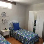 Paulalucia * 科斯塔德安提瓜